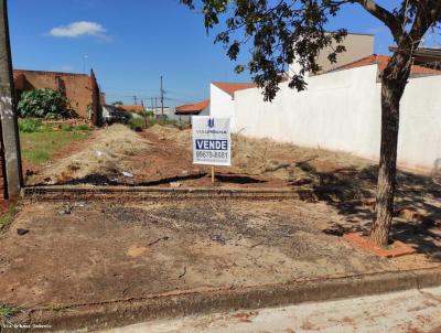 Terreno para Venda, em Pederneiras, bairro Maria Luiza